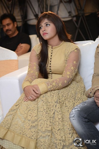 Geethanjali-Movie-Success-Meet